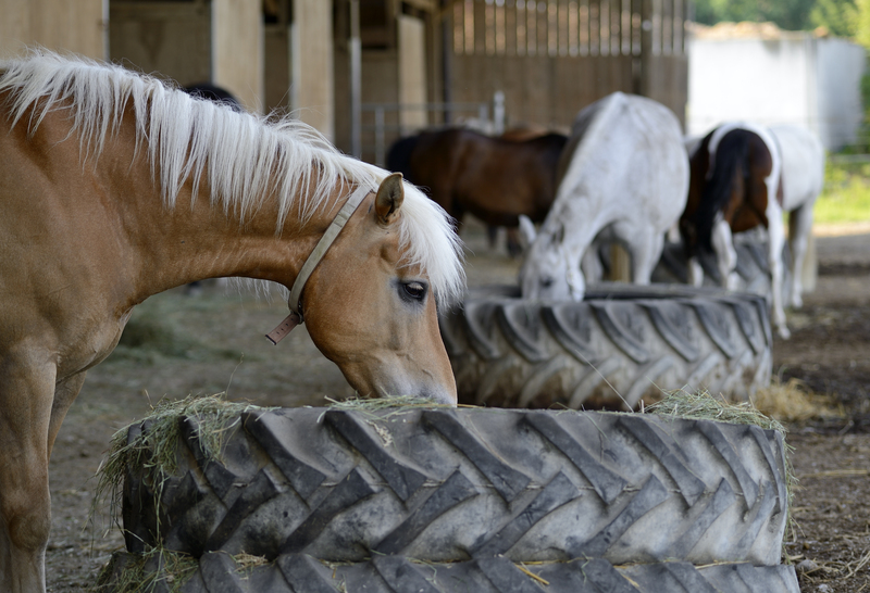 Rubbish removal rubbish disposal